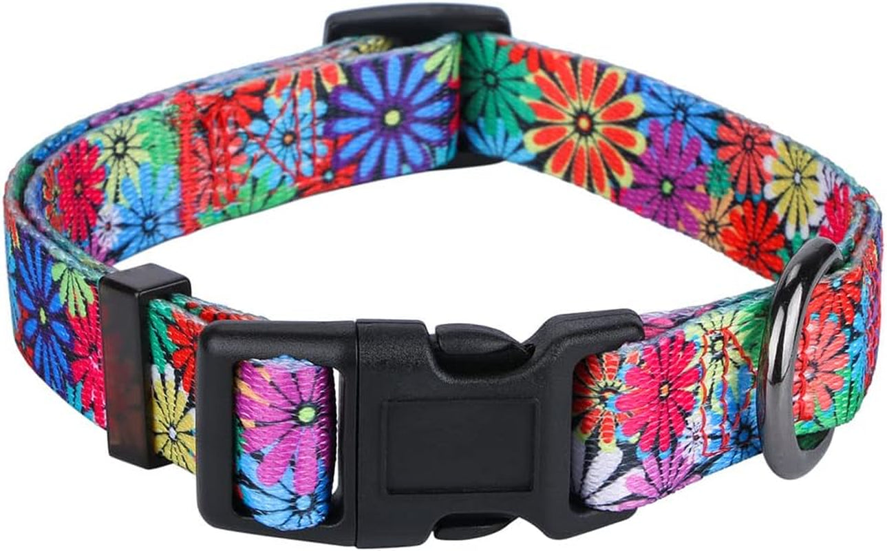 Daisy Girl Dog Collars, Floarl Design for Small Dogs, Purple