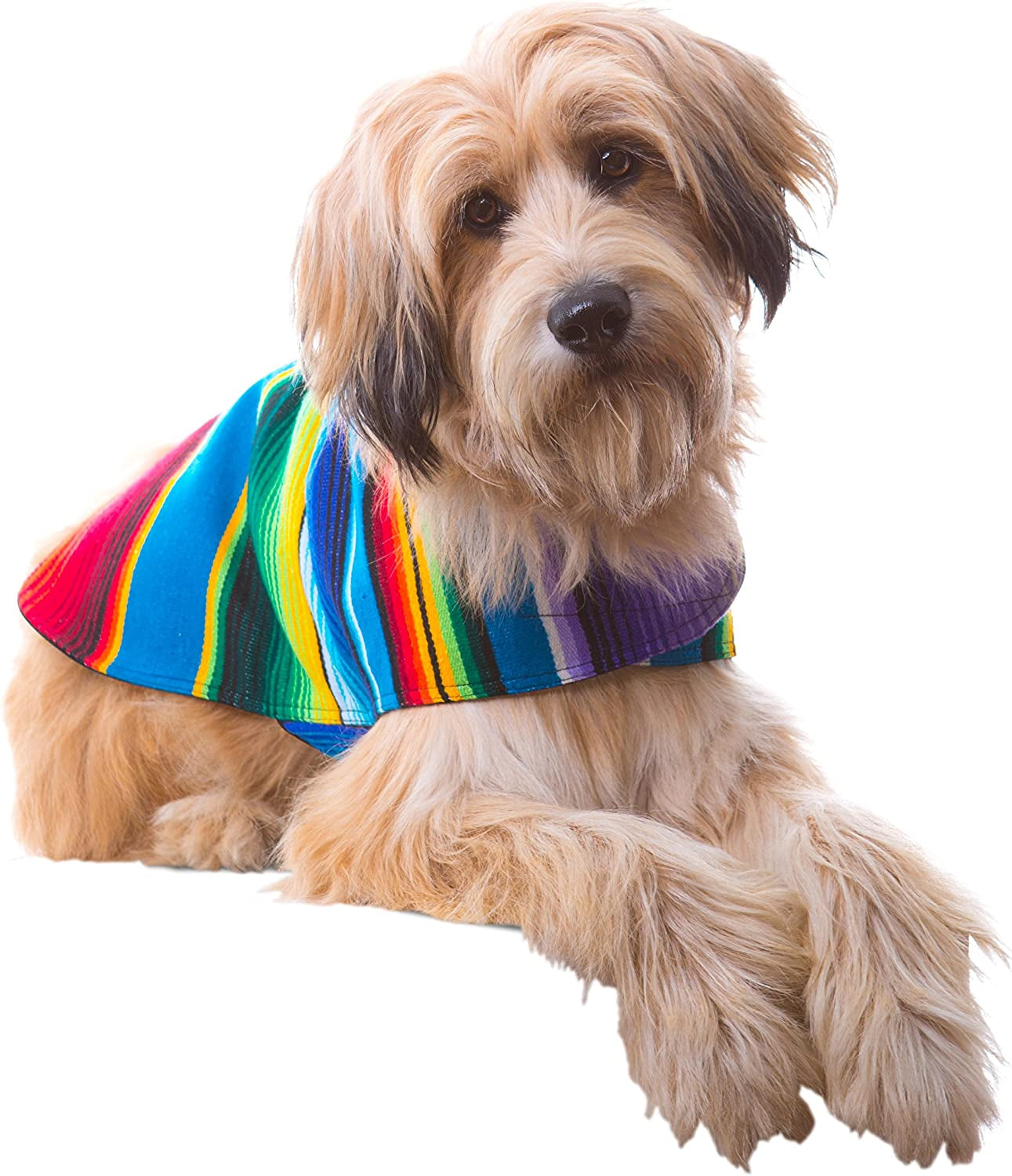 Dog Clothes - Handmade Dog Poncho - Cinco De Mayo Chihuahua Costume from Authentic Mexican Blanket (Pink, XXS)