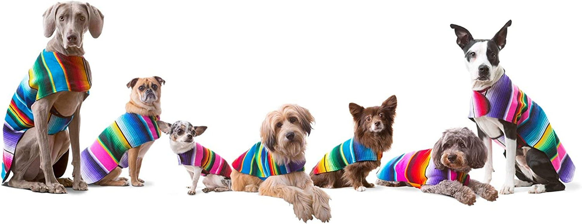 Dog Clothes - Handmade Dog Poncho - Cinco De Mayo Chihuahua Costume from Authentic Mexican Blanket (Pink, XXS)