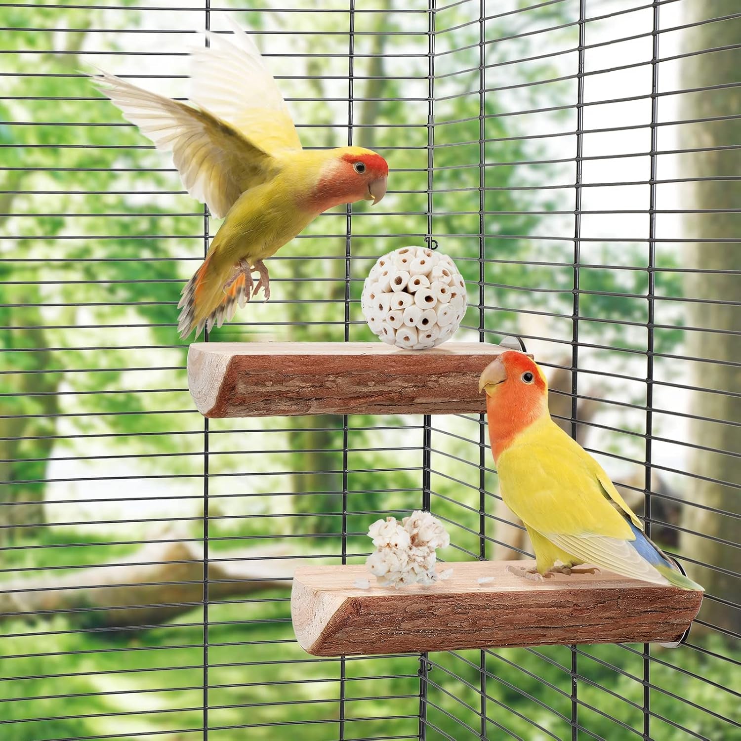 Bird Toy Sola Ball - Natural Soft Chew Shredding & Foraging Toy for Cockatiel Conure Quaker Parrot Budgie Parakeet Rabbit Bunny Guinea Pig Chinchilla (Style 1 (Pack of 6))