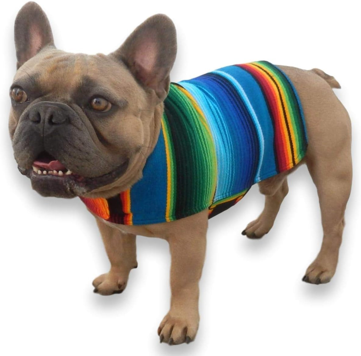 Dog Clothes - Handmade Dog Poncho - Cinco De Mayo Chihuahua Costume from Authentic Mexican Blanket (Pink, XXS)