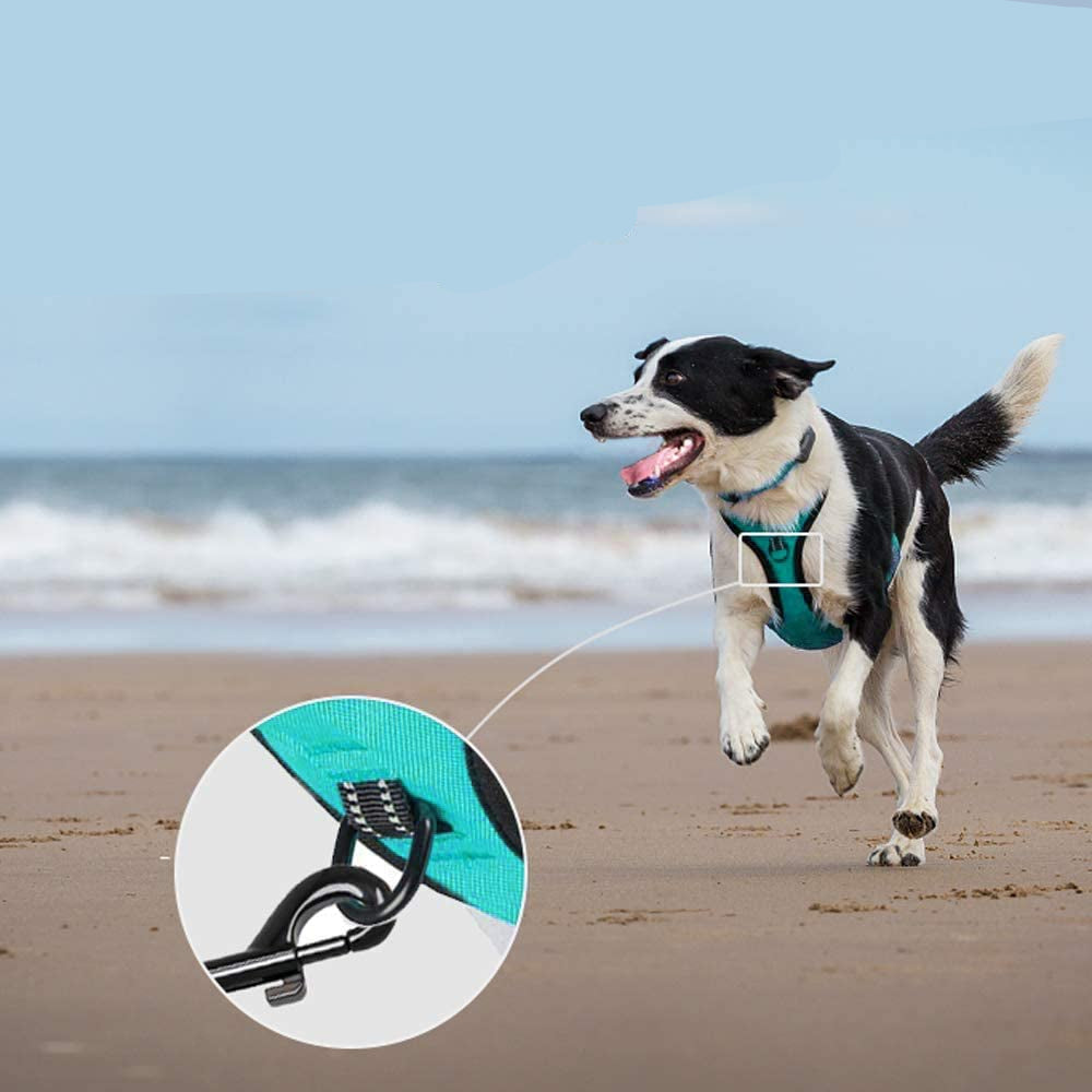 No Pull Dog Harness, Reflective Comfortable Vest Harness with Front & Back 2 Leash Attachments and Easy Control Handle Adjustable Soft Padded Pet Vest for Small Medium Large Dogs (Mint Blue,M)