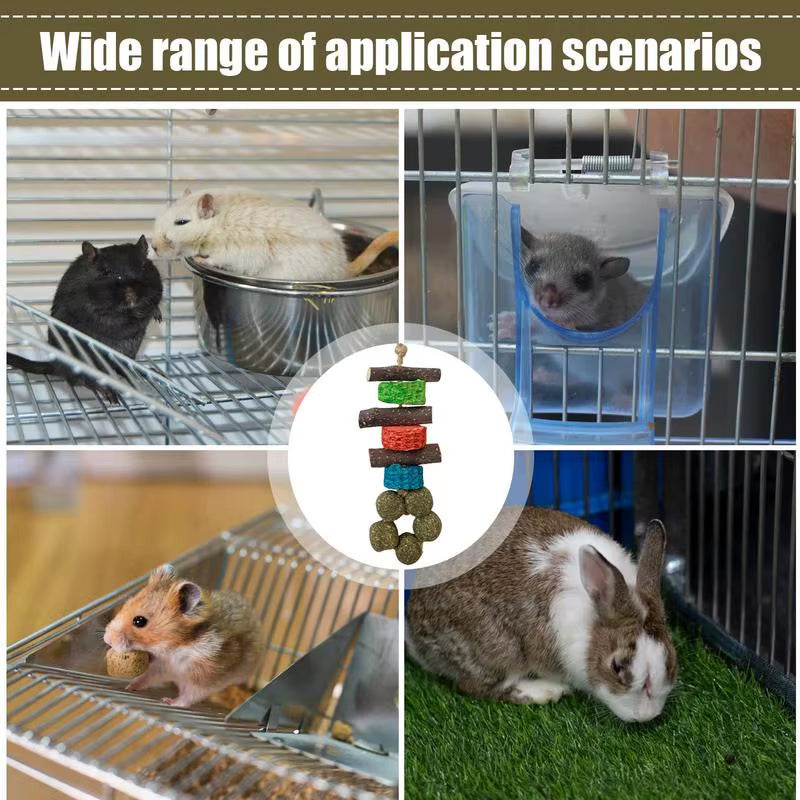 Guinea Pig Chew Toys Healthy Teether Oral Care Wooden Hamster Chews Pet Supplies Funny Hamster Toy for Hedgehogs Degus