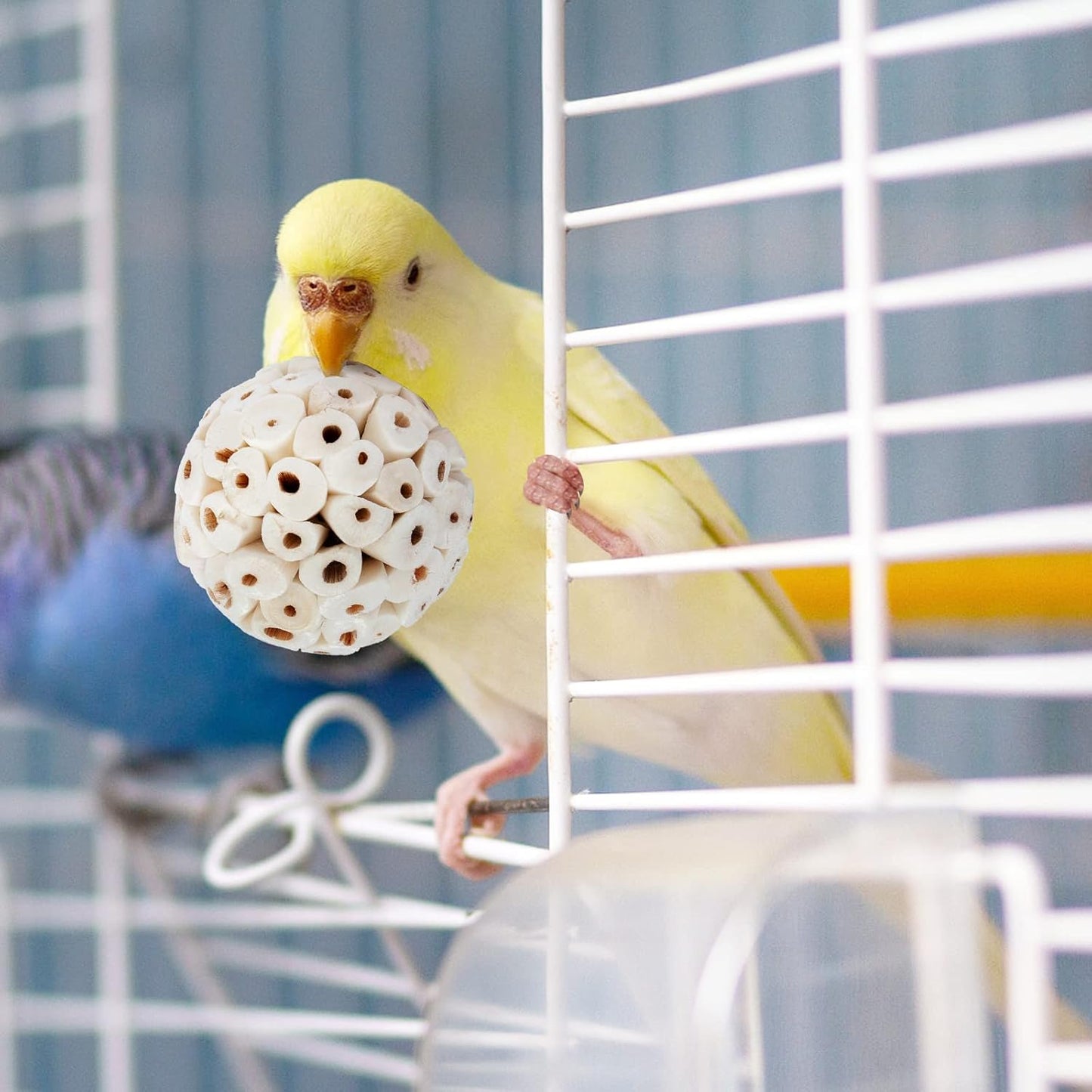 Bird Toy Sola Ball - Natural Soft Chew Shredding & Foraging Toy for Cockatiel Conure Quaker Parrot Budgie Parakeet Rabbit Bunny Guinea Pig Chinchilla (Style 1 (Pack of 6))