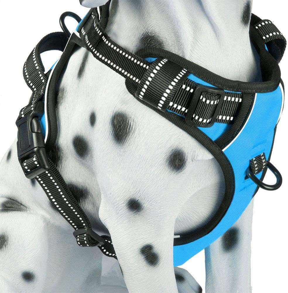 No Pull Dog Harness, Reflective Comfortable Vest Harness with Front & Back 2 Leash Attachments and Easy Control Handle Adjustable Soft Padded Pet Vest for Small Medium Large Dogs (Mint Blue,M)