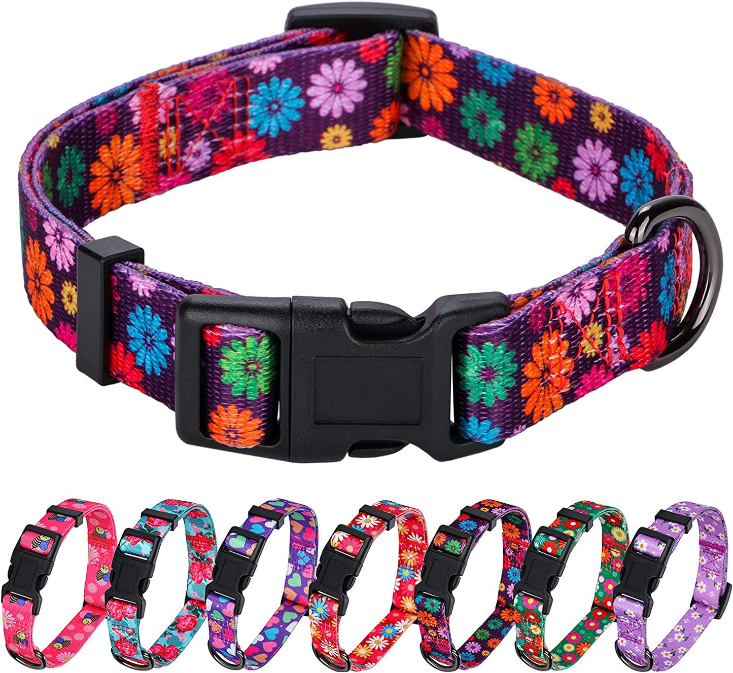 Daisy Girl Dog Collars, Floarl Design for Small Dogs, Purple
