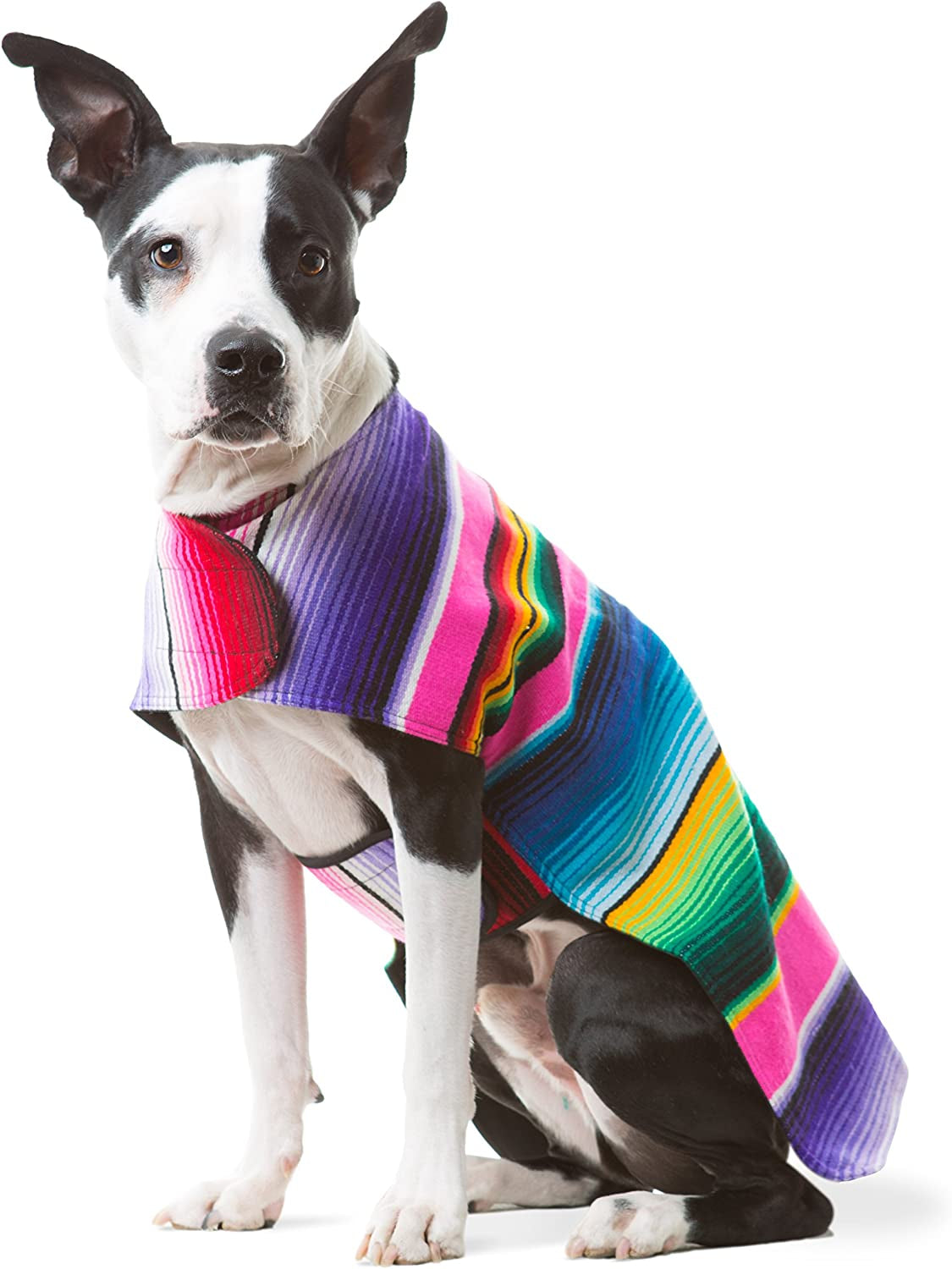 Dog Clothes - Handmade Dog Poncho - Cinco De Mayo Chihuahua Costume from Authentic Mexican Blanket (Pink, XXS)