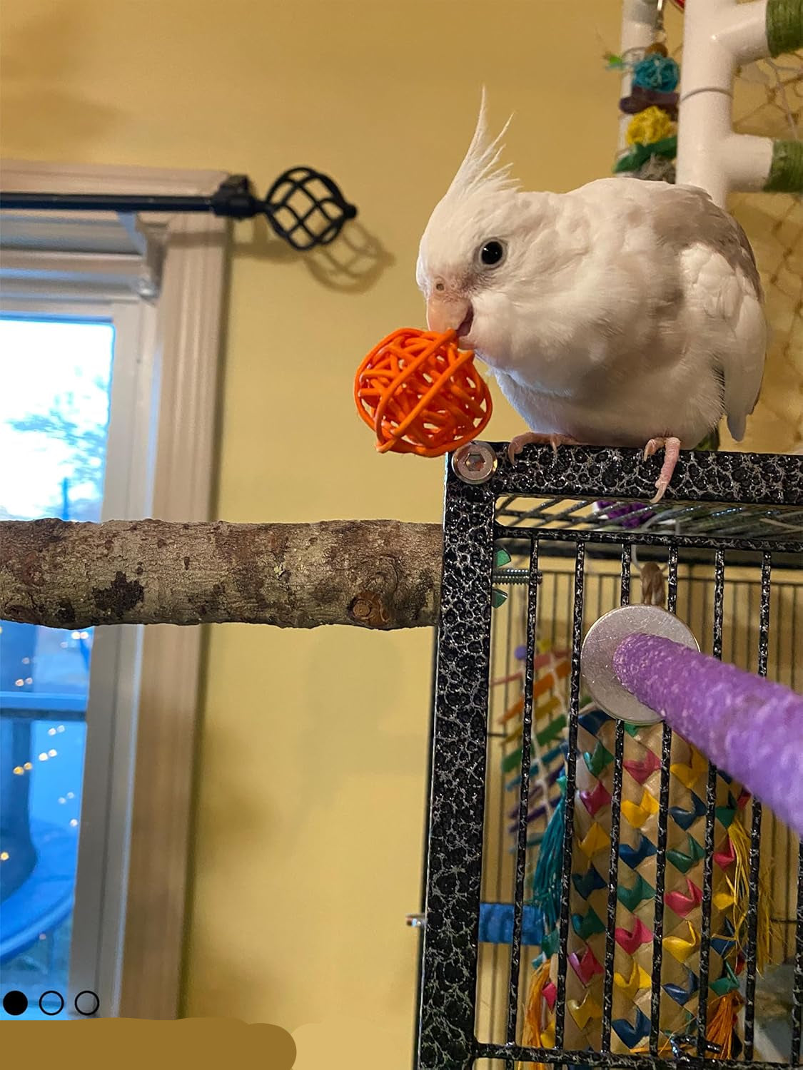 10-Pack Bird Toys for Parrots – Natural Rattan & Plastic Bell Balls – Safe, Fun Cage Decor & Foot Exercise (1.5'' - 5.5'', Bird Toys Value Pack)