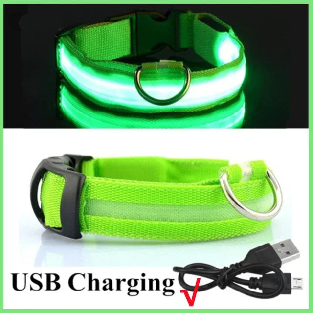 LED Glowing Dog Collar Adjustable Flashing Rechargea Luminous Collar Night Anti-Lost Dog Light Harnessfor Small Dog Pet Products