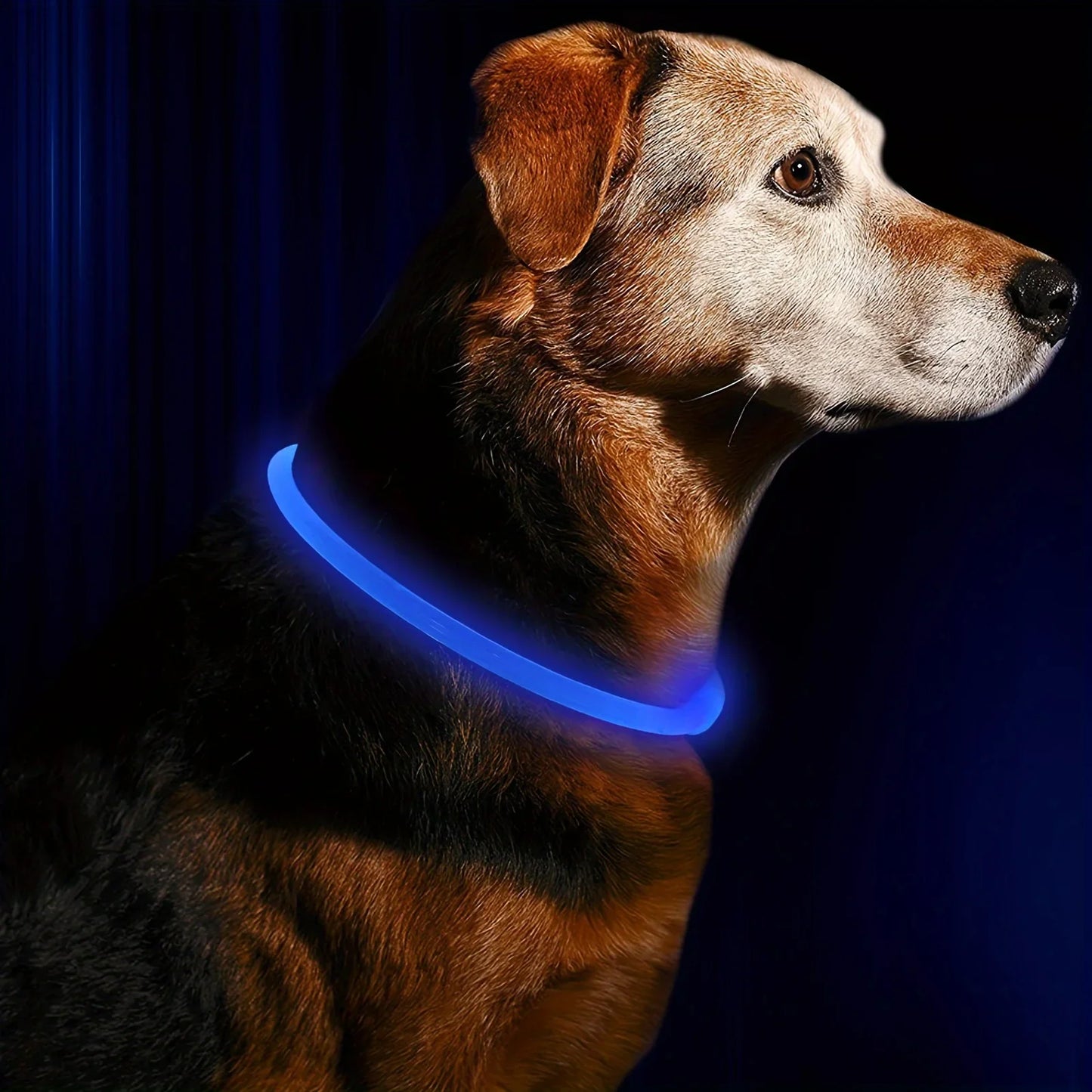 Pet Dog LED Light Collar Luminous Anti-Lost Dog Collar USB Charging Dog Necklace Collar Large Medium Small