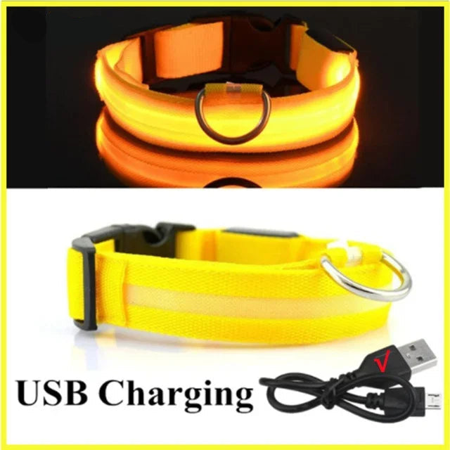 LED Glowing Dog Collar Adjustable Flashing Rechargea Luminous Collar Night Anti-Lost Dog Light Harnessfor Small Dog Pet Products