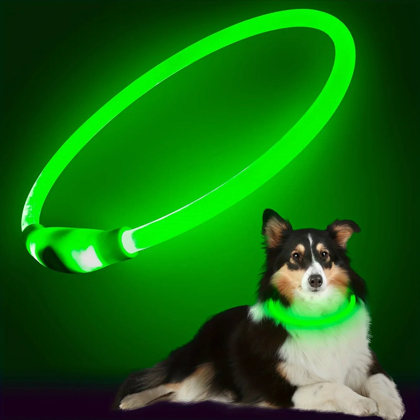 Pet Dog LED Light Collar Luminous Anti-Lost Dog Collar USB Charging Dog Necklace Collar Large Medium Small