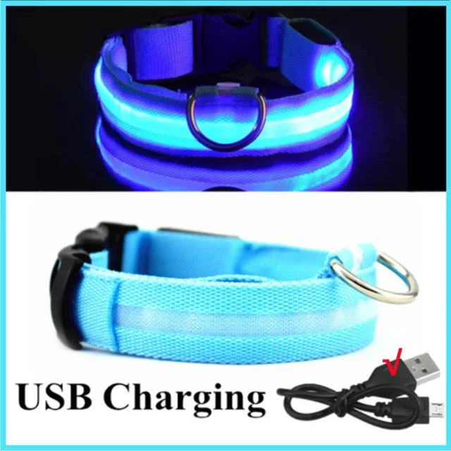 LED Glowing Dog Collar Adjustable Flashing Rechargea Luminous Collar Night Anti-Lost Dog Light Harnessfor Small Dog Pet Products