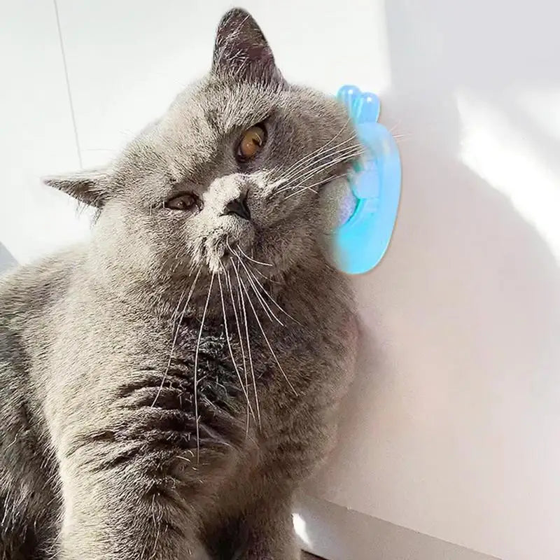 Cat Wall Stick-On Ball Wall Mount Cat Mint Balls Edible Cat Catnip Licking Ball Cat Wall Treats Teeth Cleaning Cat Bite Toy