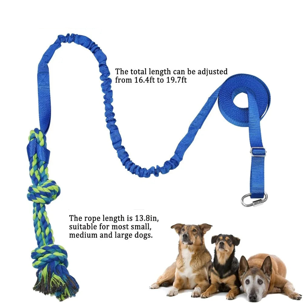 Interactive Outdoor Dog Toys - Tether Tug Exercise Equipment with Dual Rope Toys for Dogs of All Sizes