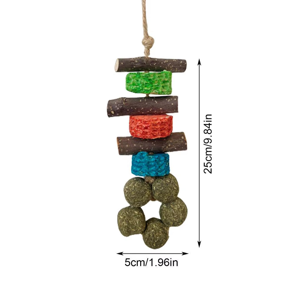 Guinea Pig Chew Toys Healthy Teether Oral Care Wooden Hamster Chews Pet Supplies Funny Hamster Toy for Hedgehogs Degus