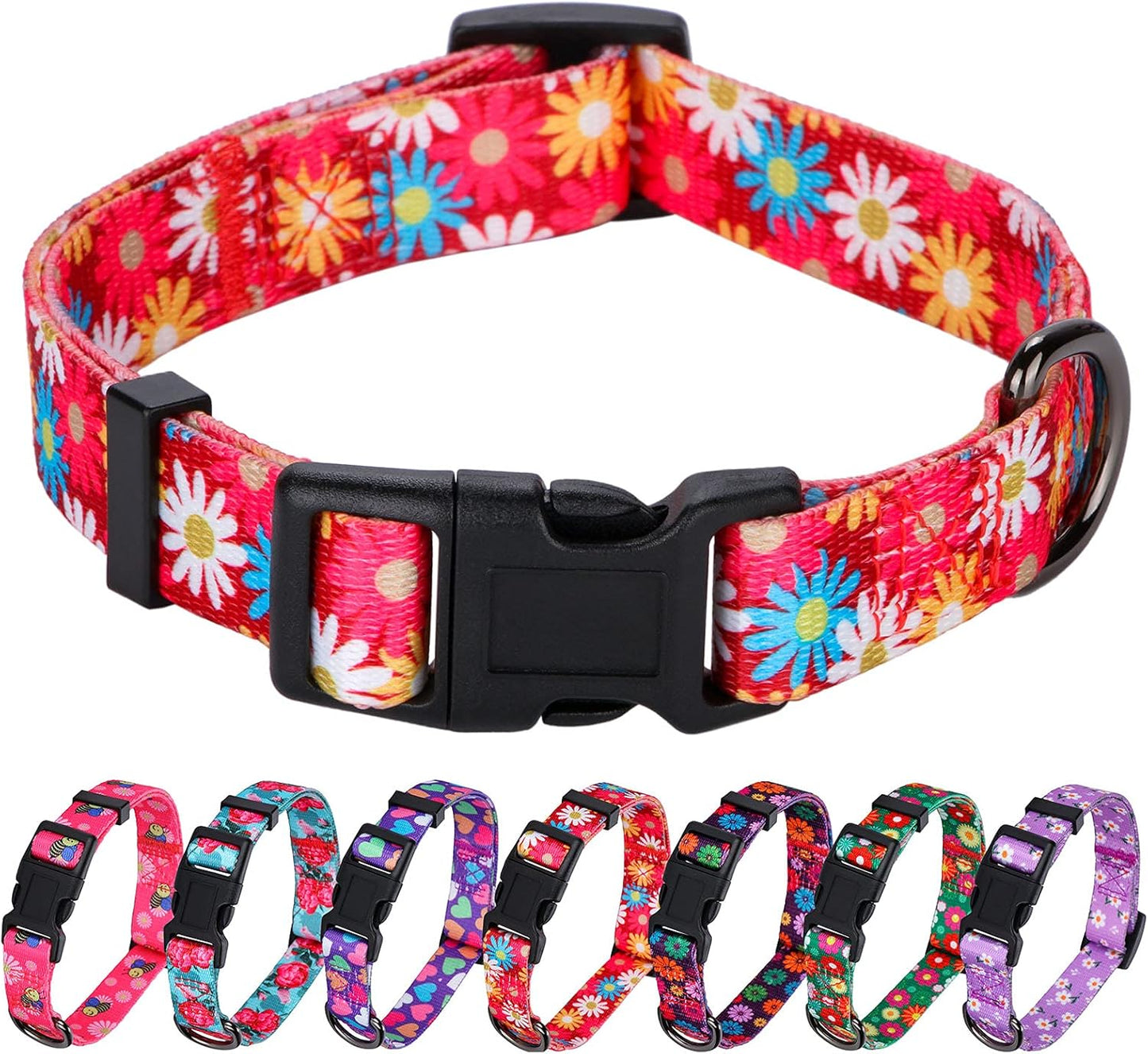 Daisy Girl Dog Collars, Floarl Design for Small Dogs, Purple