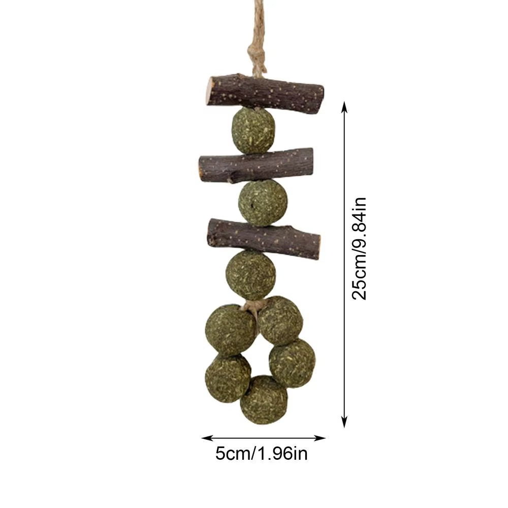 Guinea Pig Chew Toys Healthy Teether Oral Care Wooden Hamster Chews Pet Supplies Funny Hamster Toy for Hedgehogs Degus