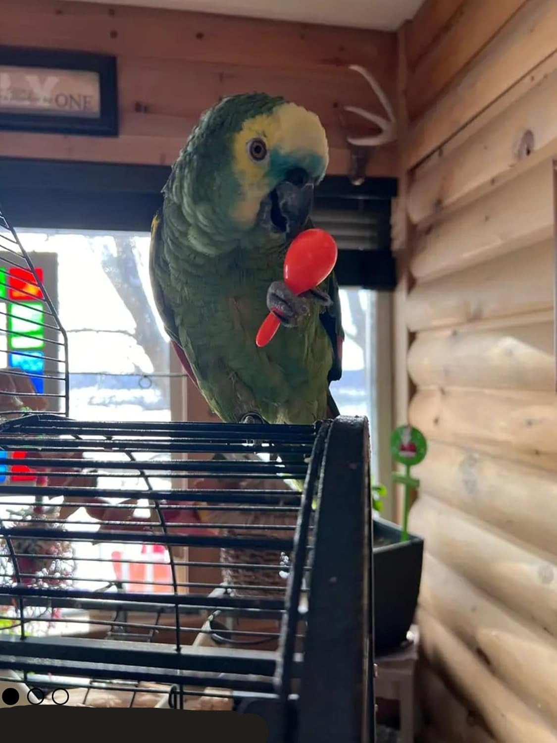 10-Pack Bird Toys for Parrots – Natural Rattan & Plastic Bell Balls – Safe, Fun Cage Decor & Foot Exercise (1.5'' - 5.5'', Bird Toys Value Pack)