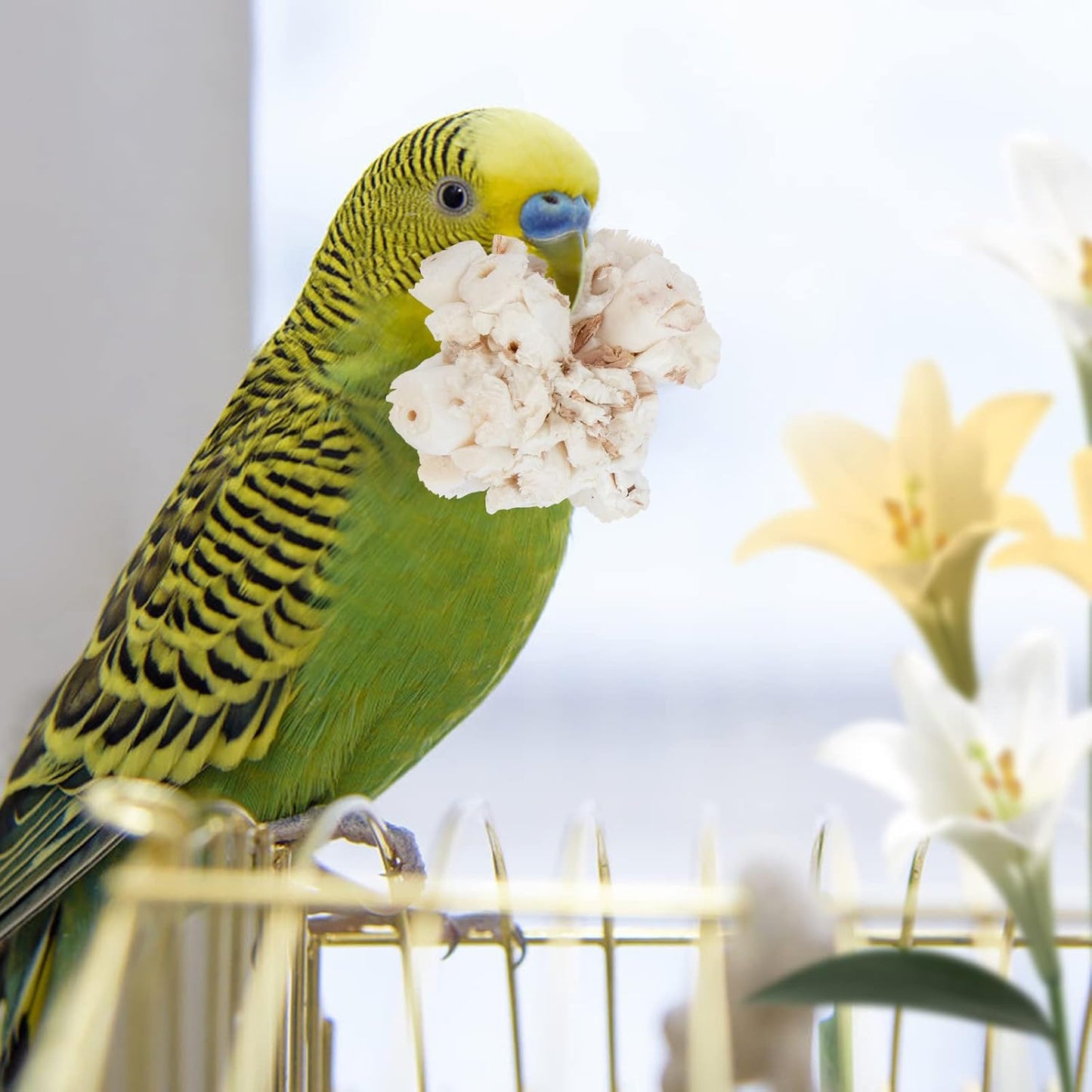 Bird Toy Sola Ball - Natural Soft Chew Shredding & Foraging Toy for Cockatiel Conure Quaker Parrot Budgie Parakeet Rabbit Bunny Guinea Pig Chinchilla (Style 1 (Pack of 6))